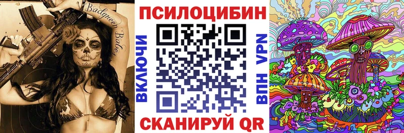 KRAKEN онион  Красноперекопск  маркетплейс телеграм  Псилоцибиновые грибы Cubensis 